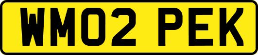 WM02PEK