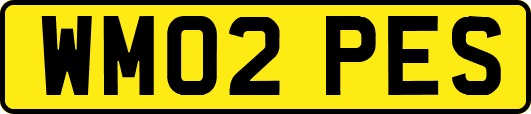WM02PES