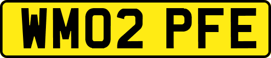 WM02PFE