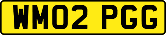 WM02PGG