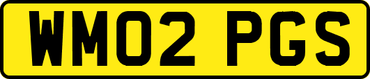WM02PGS