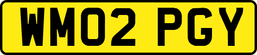 WM02PGY