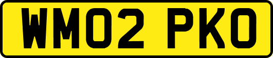 WM02PKO