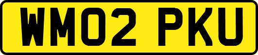 WM02PKU