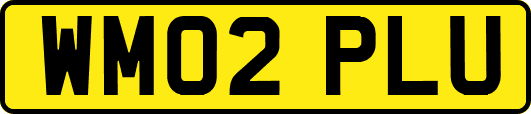 WM02PLU