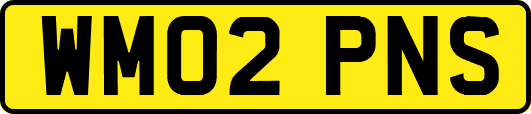 WM02PNS