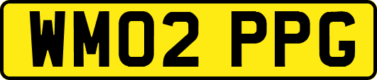 WM02PPG