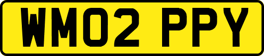 WM02PPY
