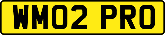WM02PRO