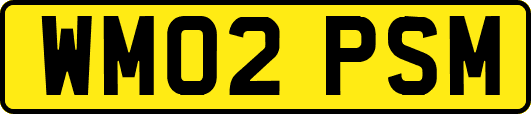 WM02PSM