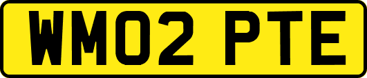 WM02PTE