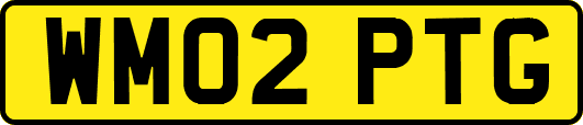 WM02PTG