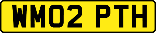 WM02PTH