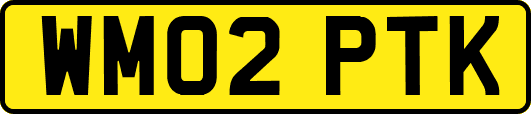 WM02PTK
