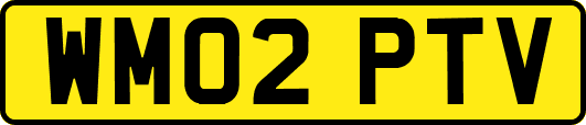 WM02PTV