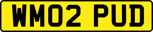 WM02PUD