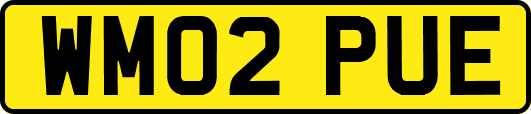 WM02PUE
