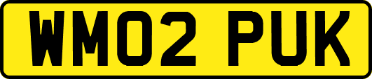 WM02PUK