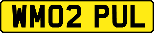 WM02PUL
