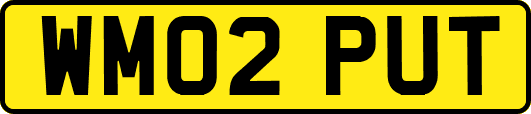 WM02PUT