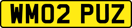 WM02PUZ