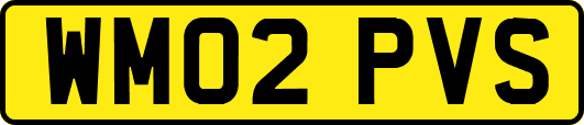 WM02PVS