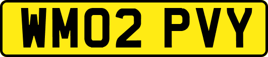 WM02PVY