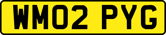 WM02PYG