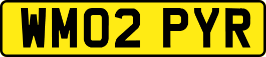 WM02PYR