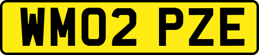 WM02PZE