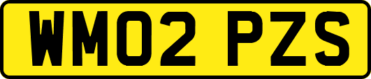 WM02PZS