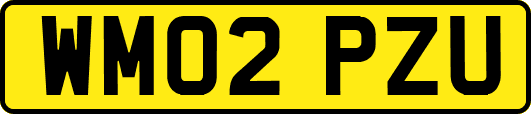 WM02PZU