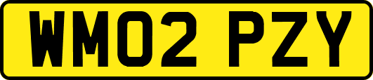 WM02PZY