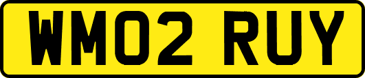 WM02RUY