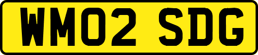WM02SDG