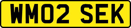 WM02SEK