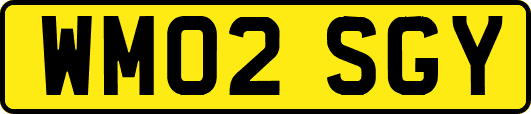 WM02SGY