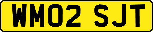 WM02SJT
