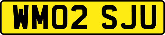 WM02SJU