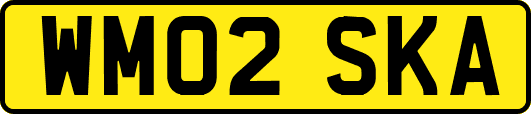 WM02SKA