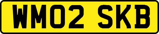 WM02SKB