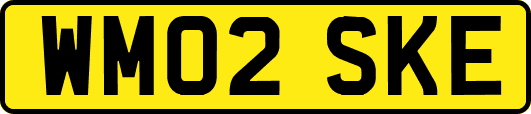 WM02SKE