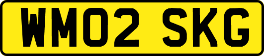 WM02SKG