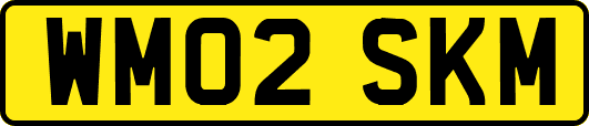 WM02SKM