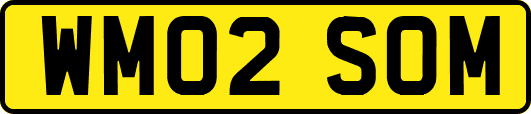 WM02SOM