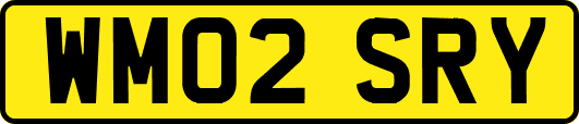 WM02SRY