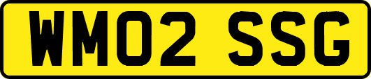 WM02SSG