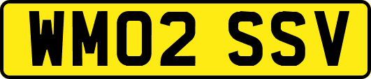 WM02SSV