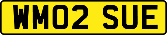 WM02SUE