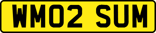 WM02SUM